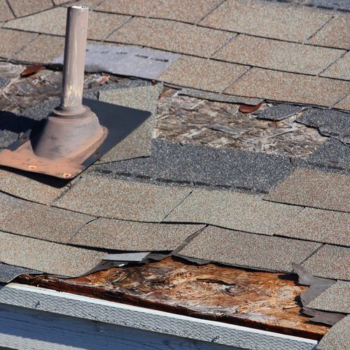 Storm-Damaged Shingles