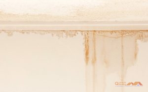 Roof Leaks