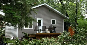 House with downed tree. Storm Damage Roof Repair: What to Do After High Winds or Hail