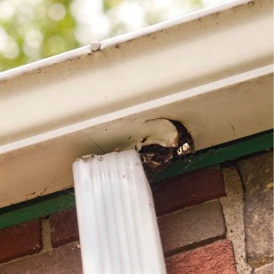 Broken downspout and gutter in Arden, NC. 