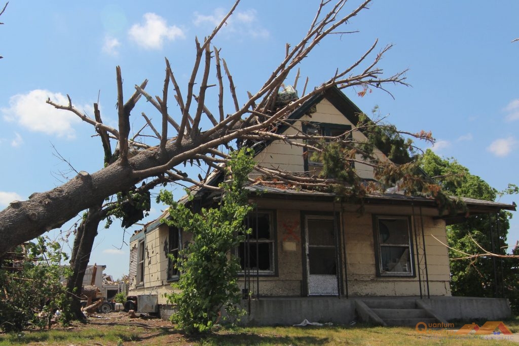 Fallen Tree on Home