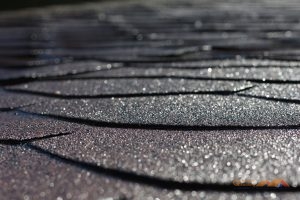 roof shingle damage