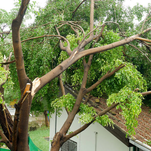 emergency roof repair